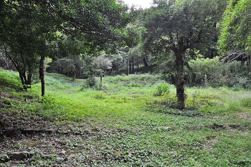八王子市の戦国城郭を想像する山城跡の風景