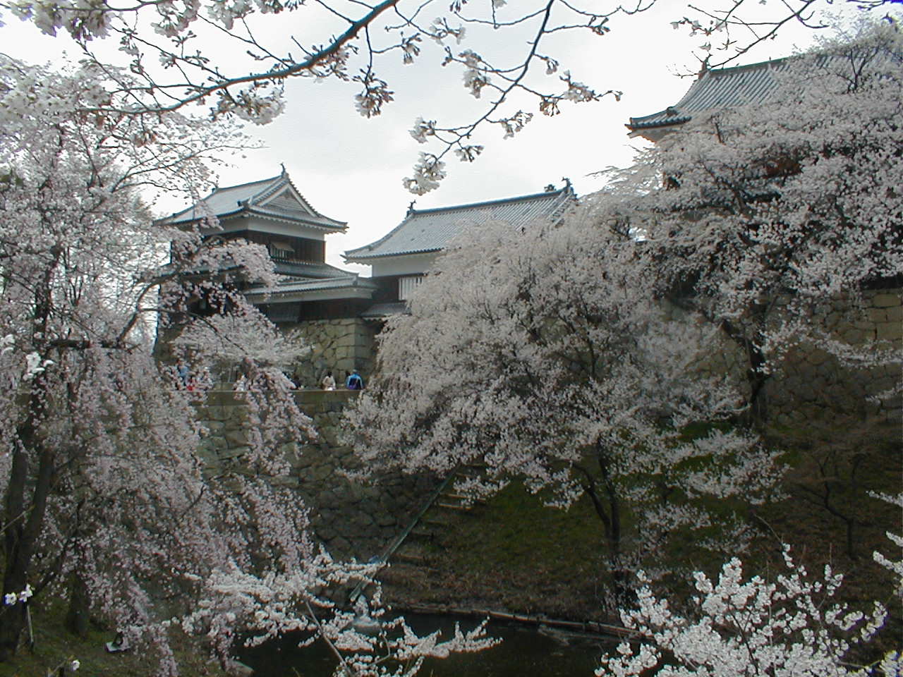 上田城の櫓